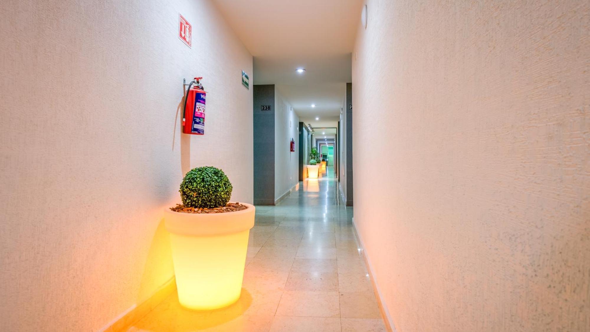 Homesuites Rotarismo Culiacan Ngoại thất bức ảnh